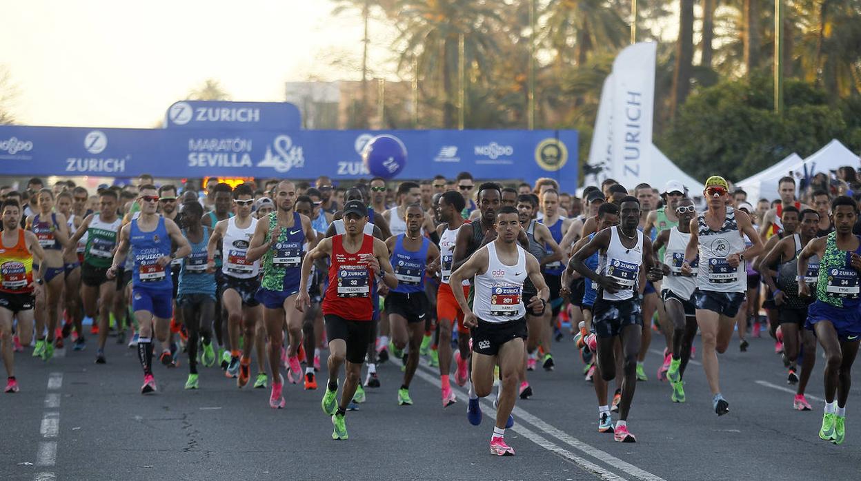 Corredores en el Zurich Maratón de Sevilla