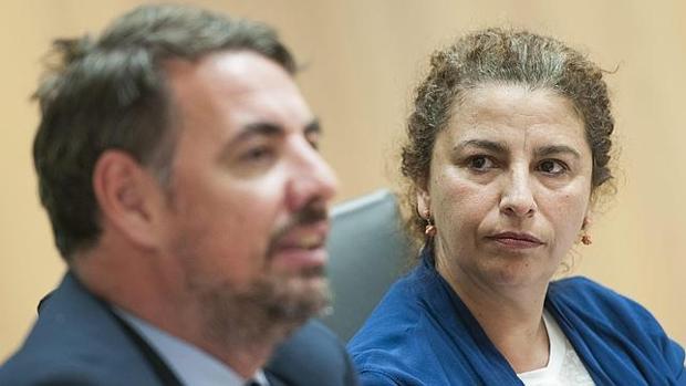 La directora general de Industria, Energía y Minas, María José Asencio