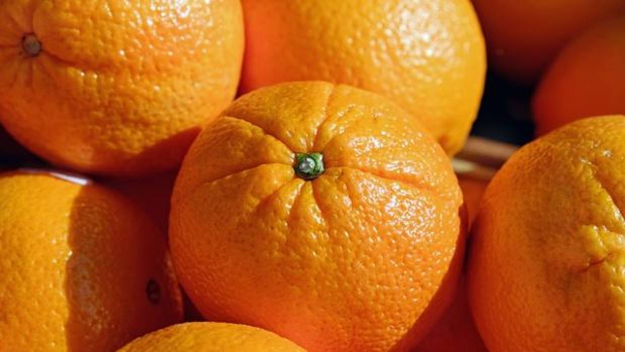 Se han analizado variedades del grupo «navel», «blancas» y «sanguinas»