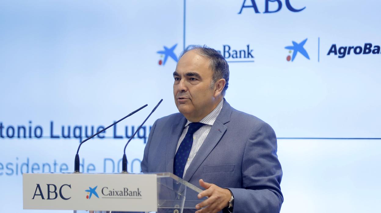 Antonio Luque, presidente de Dcoop