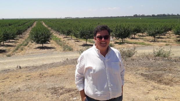 La apuesta más ambiciosa para liderar el cultivo del almendro en Andalucía