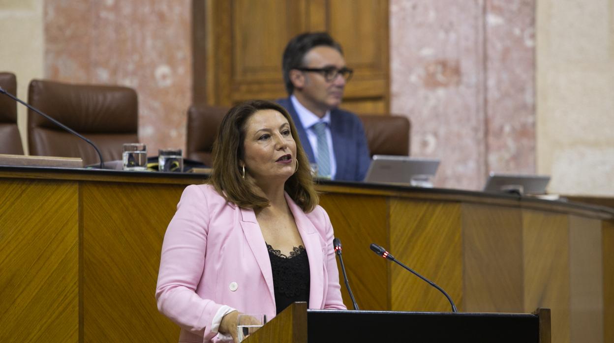 Carmen Crespo, durante una intervención en el Parlamento andaluz