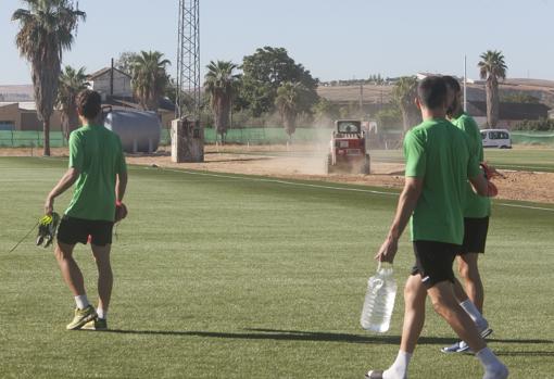 Grupo Inmobiliario Tremón es propietario de suelos donde se ubica la Ciudad Deportiva de Córdoba