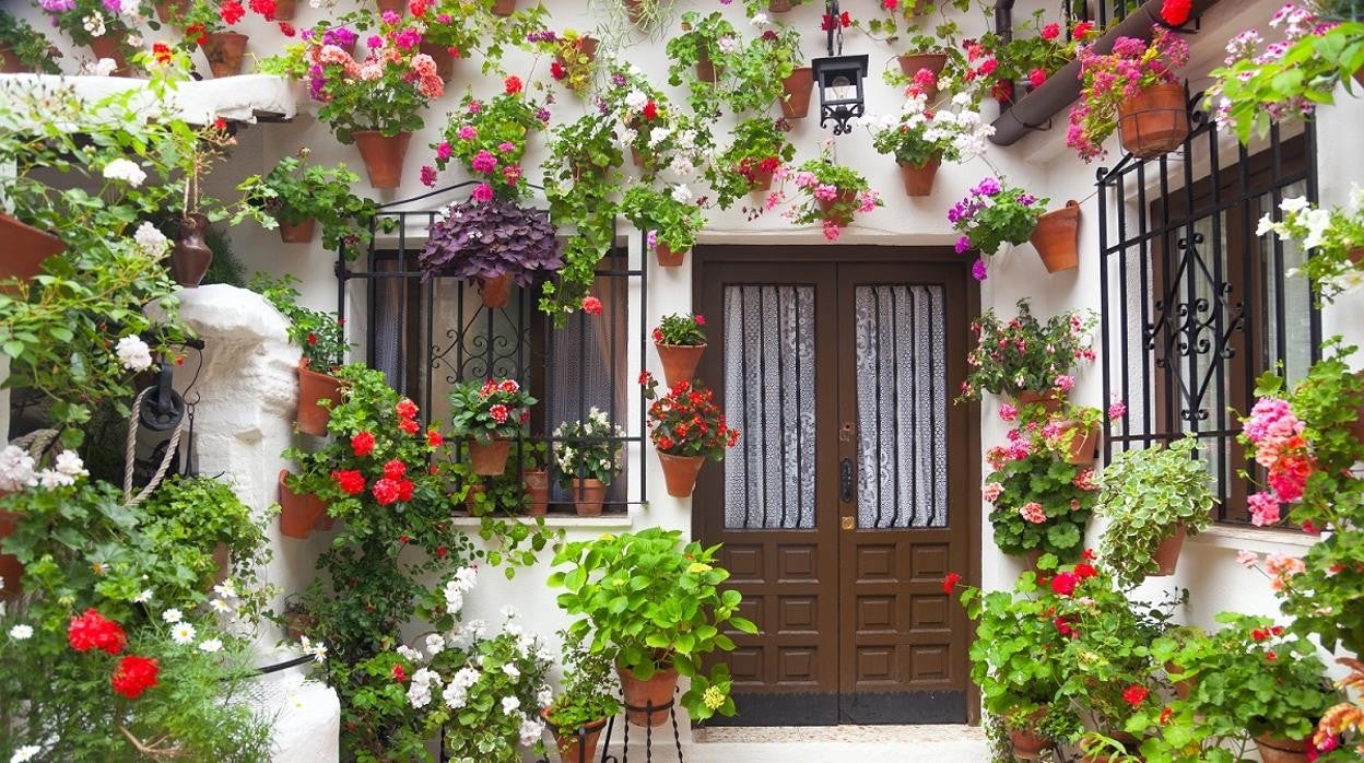 Patio tradicional andaluz