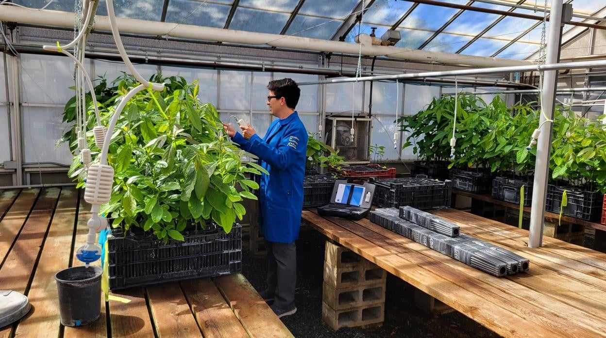 Los investigadores de Eurosemillas lideran el desarrollo de nuevas variedades