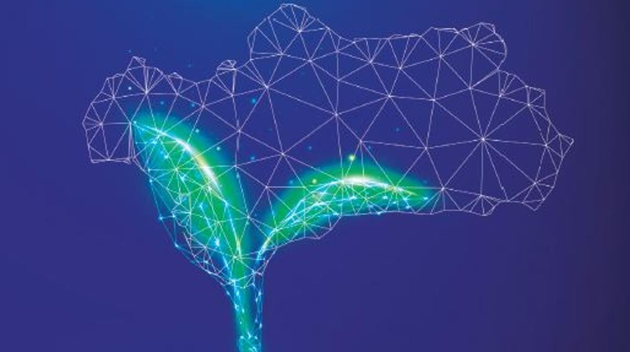 Especial I+D+i Andalucía: semillas para la transformación