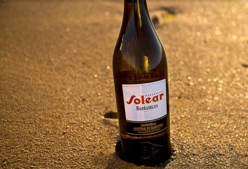 Solear es la marca estrella de las manzanillas de Bodegas Barbadillo