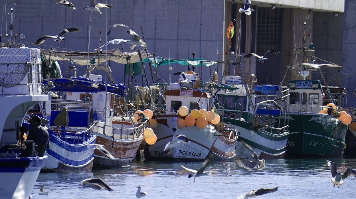 Barcos atracados en el puerto de Barbate, en la provincia de Cádiz