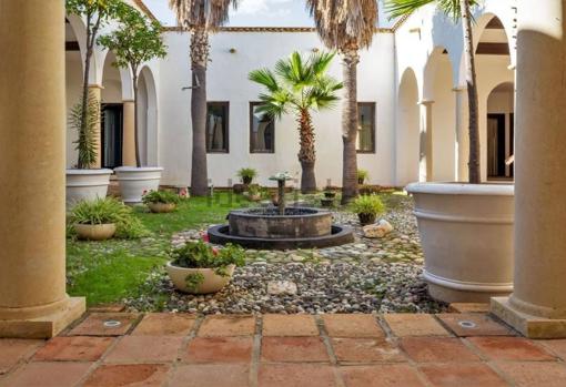 Luminoso patio con palmeras del chalet