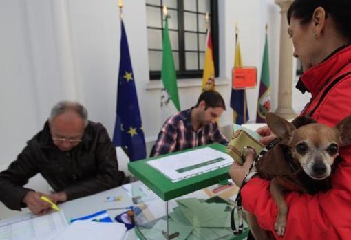 Elecciones en Andalucía 2022: guía con todo lo que hay que saber antes del 19 de junio