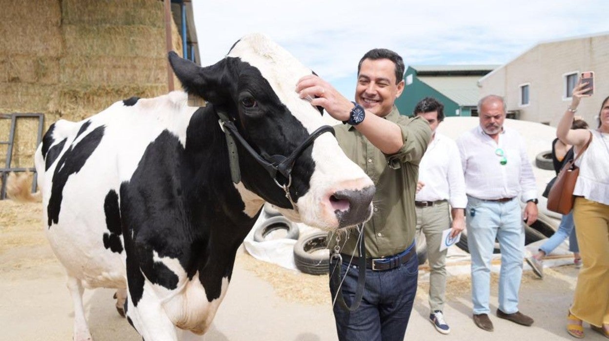 Moreno acaricia a 'Fadie' en la granja El Cruce de Añora este miércoles