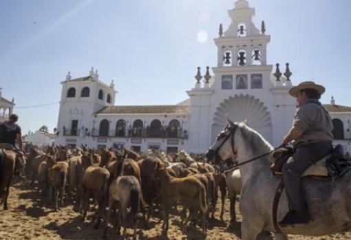 La Saca de las Yeguas es una tradición que se celebra en la aldea del Rocío y por los caminos hacia el municipio de Almonte