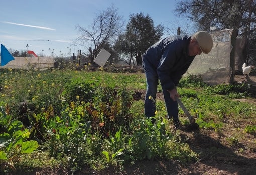 Alfonso trabajando en la huerta