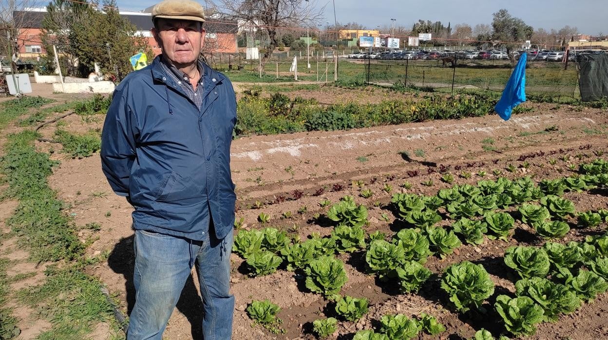 Alfonso Molina en su Huerta
