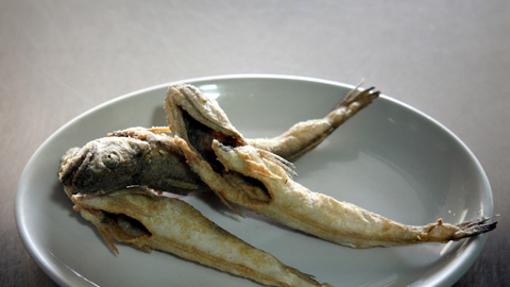 Pijotas fritas en Alhucemas, Sanlúcar la Mayor