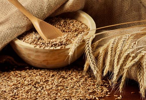 Cuida tu salud con estas 10 recetas ricas en fibra