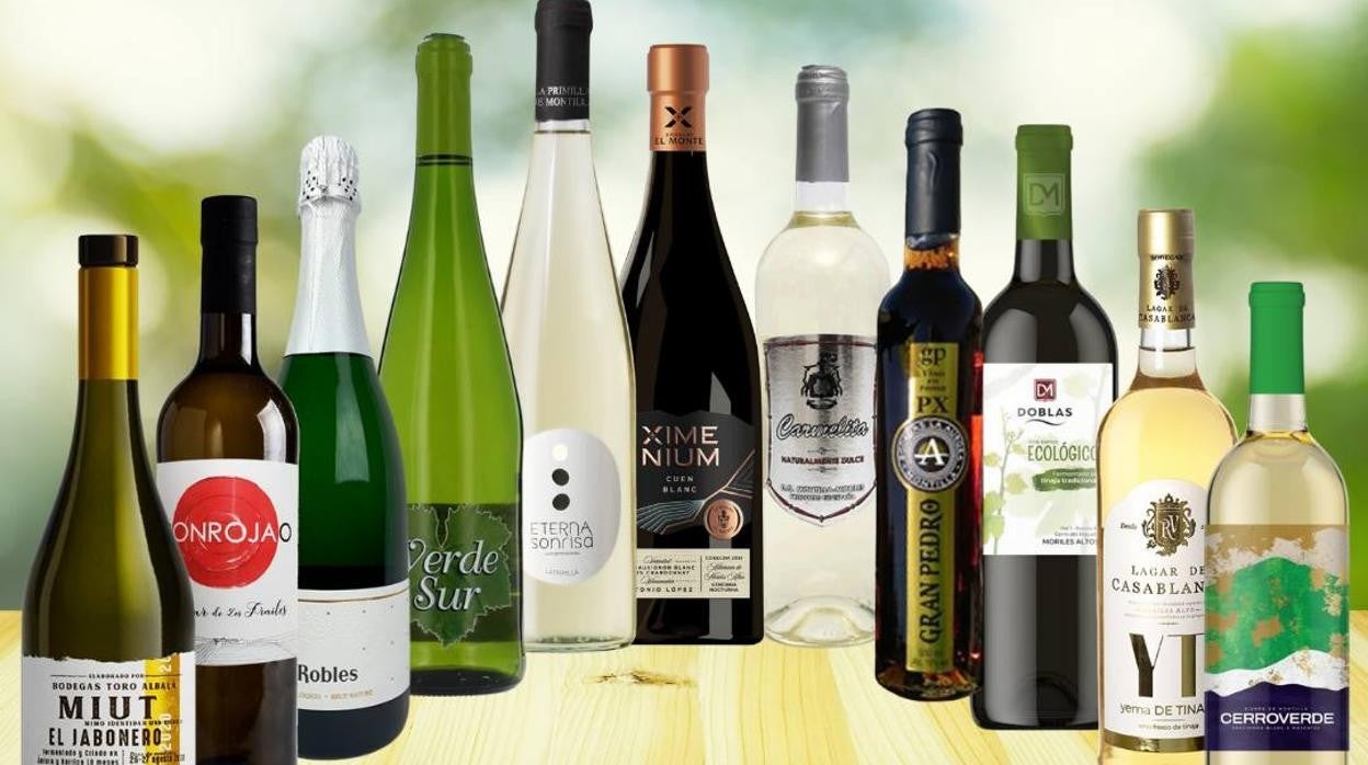 ‘Vinos Nuevos, Nuevos Vinos’, lo último de vinos en rama de Montilla-Moriles