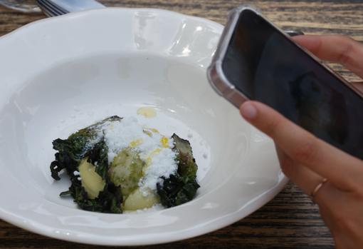 Cogollo a la brasa, mazamorra de pistacho y ostra escabechada