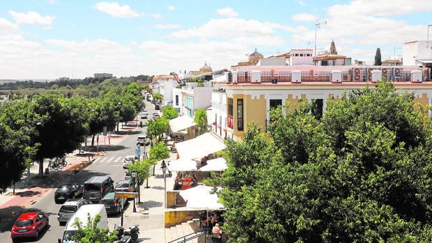 Sitios donde puedes comer cerca de la Feria de Córdoba