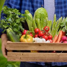 Las verduras deben estar presentes en nuestro menú diario