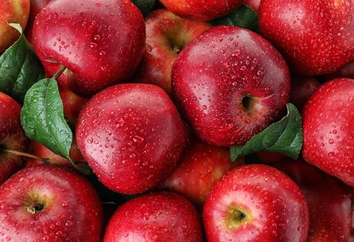 Las manzanas son muy usadas en dietas de adelgazamiento