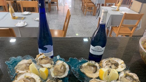 Dónde comer ostras en Sevilla