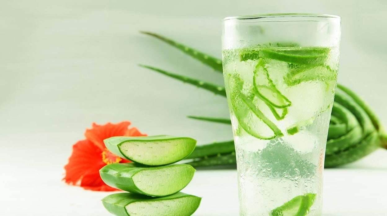 El aloe vera es el ingrediente protagonista de esta infusión