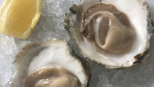 Dónde comer ostras en Sevilla