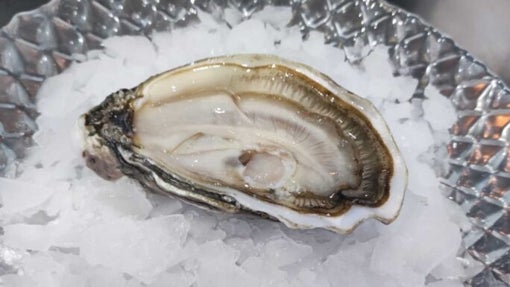 Dónde comer ostras en Sevilla