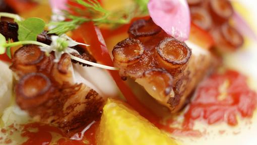 15 recetas con mango originales y sabrosas