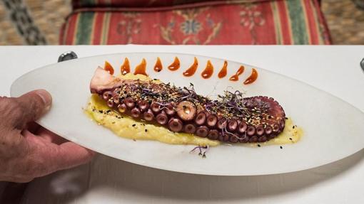 Diez restaurantes para comer pulpo en Córdoba