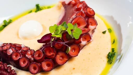 Diez restaurantes para comer pulpo en Córdoba