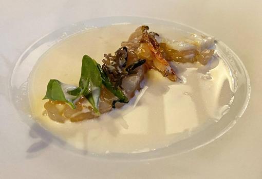 Gazpachuelo de quisquillas en ecosistema marino