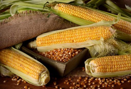 Esta infusión tiene una sabor delicioso y además tiene muchas propiedades