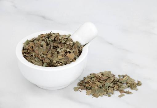 Sólo necesitas hojas de fresno secas para hacer esta infusión