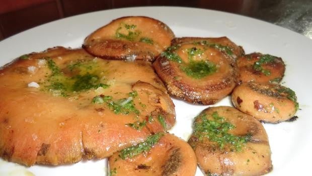 Restaurantes para disfrutar de la temporada de setas en Córdoba