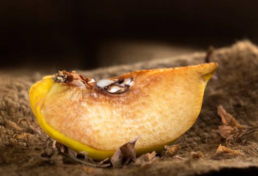 La oxidación es un proceso natural que se produce cuando la fruta entra en contacto con el aire
