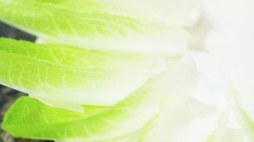 Los 18 aperitivos para Navidad imprescindibles