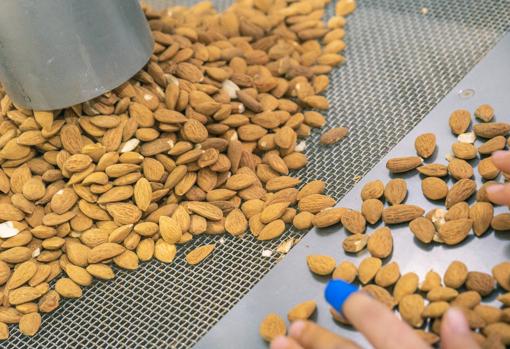 Mantecados de Estepa, una tradición que se reinventa