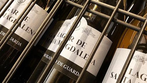 Diez vinos de Córdoba para tu mesa de Navidad