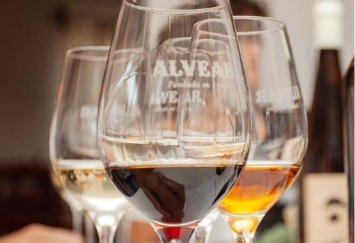 La experiencia incluye una cata especial con cinco vinos seleccionados