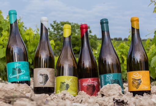 Los nuevos vinos de Los Insensatos, con su terrón en la etiqueta