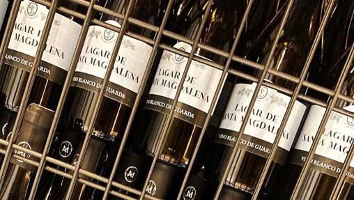 Diez cualidades para aprender a catar los vinos de Córdoba