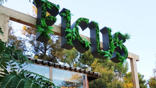 De tapas por Palma del Río