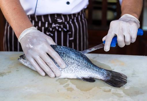 Hay que hacer el corte pegado a la espina