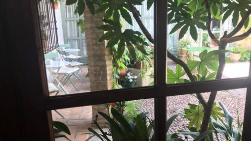Dónde comer en Córdoba en restaurantes con patios bonitos y con encanto