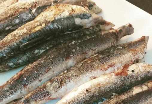 Boquerón gordo a la plancha, una propuestas diferente para compartir