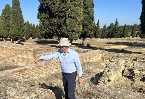Fernando Amores, Profesor Titular del Departamento de Prehistoria y Arqueología de la Universidad de Sevilla