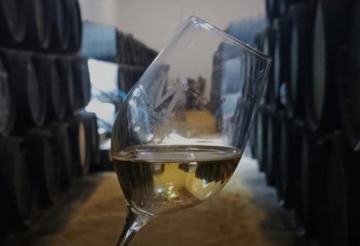 El vino premiado tieen 15 años de crianza biológica