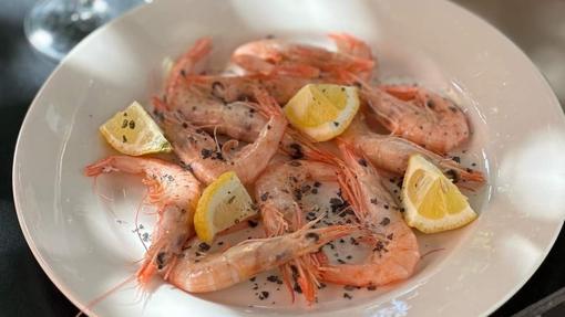 Dónde comer en Córdoba buen pescado y disfrutar del sabor a mar